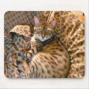 Can you see me? mouse mat