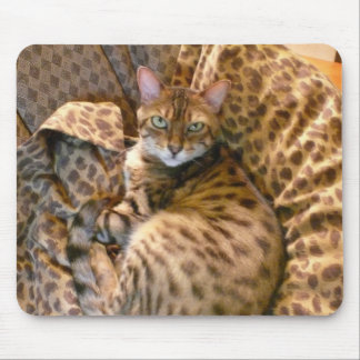 Can you see me? mouse mat