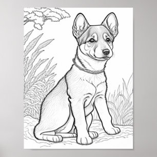Canaan Dog Adult Colouring Poster