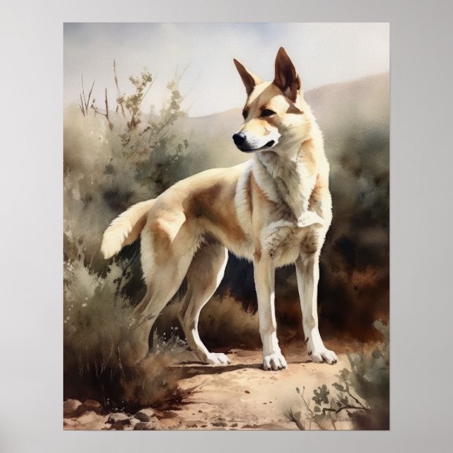 Canaan Dog Art Print Poster (Front)