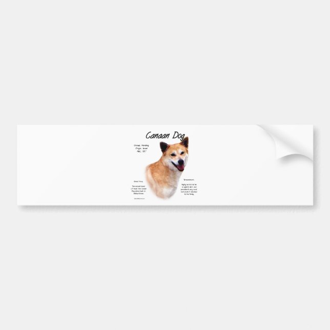 Canaan Dog History Design Bumper Sticker (Front)
