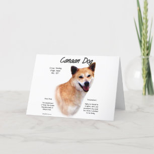 Canaan Dog History Design Holiday Card
