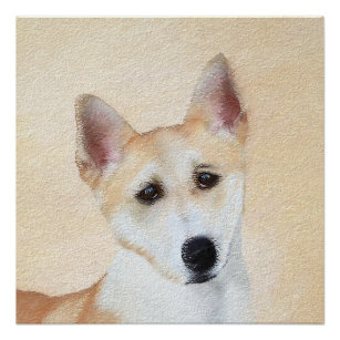 Canaan Dog Painting - Cute Original Dog Art Poster