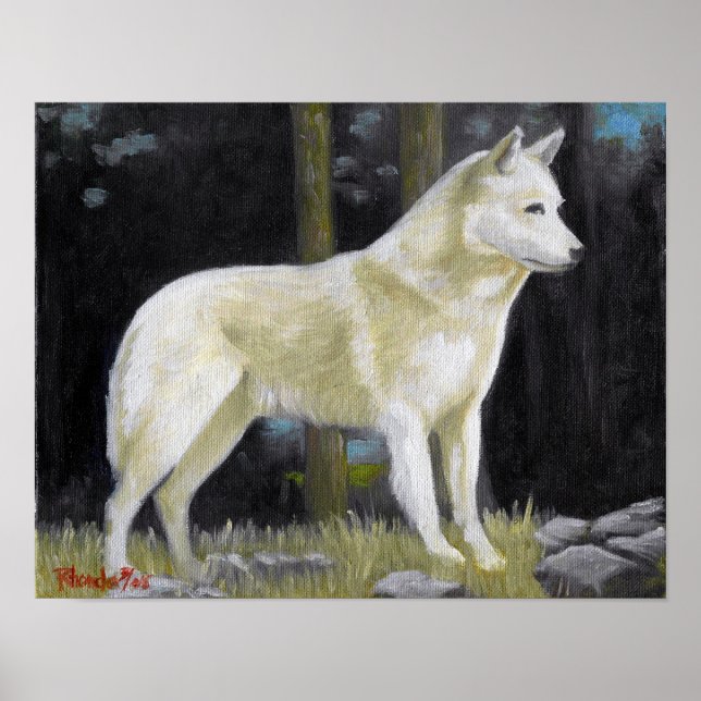 Canaan Dog Portrait Poster Print (Front)