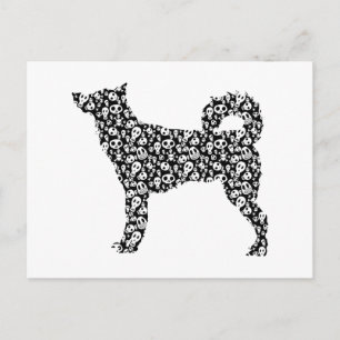 Canaan Dog Postcard