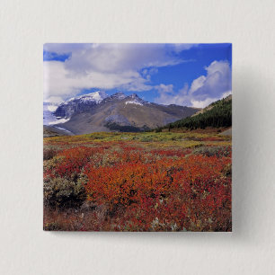 Canada, Alberta, Banff NP. Huckleberries bloom 15 Cm Square Badge