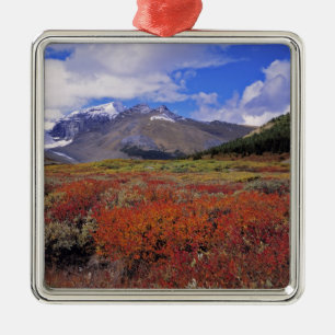 Canada, Alberta, Banff NP. Huckleberries bloom Metal Tree Decoration