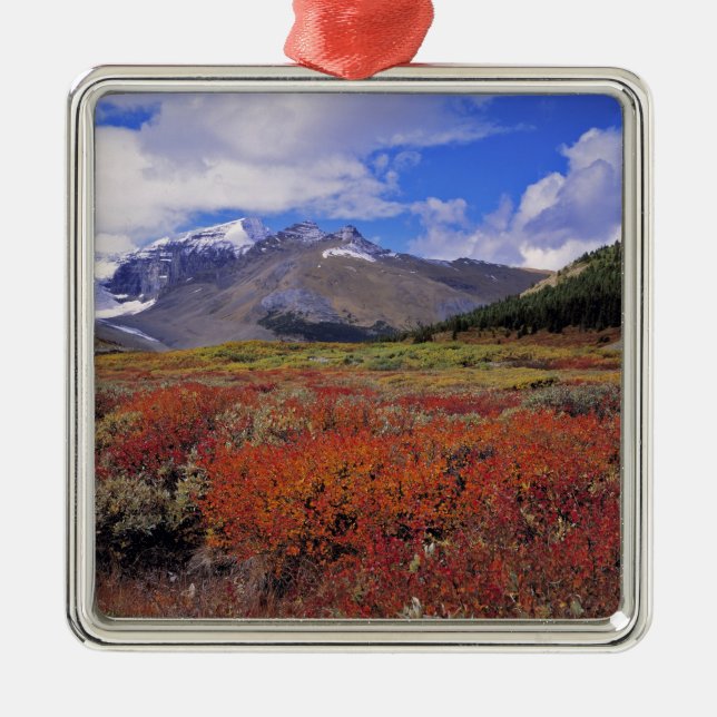Canada, Alberta, Banff NP. Huckleberries bloom Metal Tree Decoration (Front)