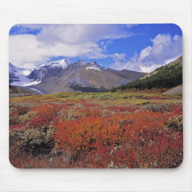 Canada, Alberta, Banff NP. Huckleberries bloom Mouse Mat (Front)