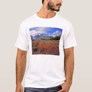Canada, Alberta, Banff NP. Huckleberries bloom T-Shirt
