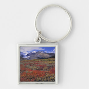 Canada, Alberta, Banff NP. Huckleberries provide Key Ring