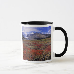 Canada, Alberta, Banff NP. Huckleberries provide Mug