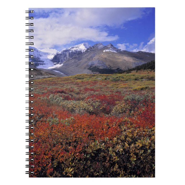 Canada, Alberta, Banff NP. Huckleberries provide Notebook (Front)