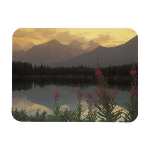Canada, Alberta, Banff. Sunrise scenic of Magnet