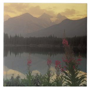 Canada, Alberta, Banff. Sunrise scenic of Tile
