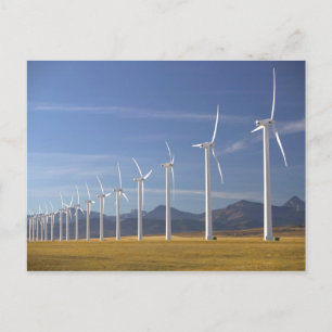 Canada, Alberta, Crowsnest Pass Area: Cowley Postcard