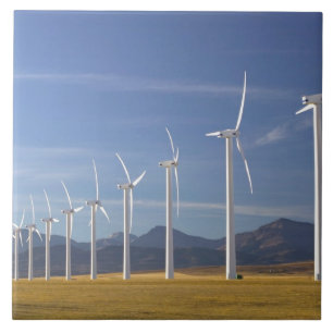 Canada, Alberta, Crowsnest Pass Area: Cowley Tile