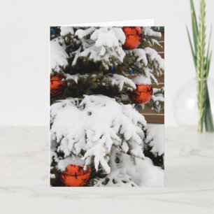 Canada, Alberta, Jasper, Jasper NP. Fairmont 2 Holiday Card