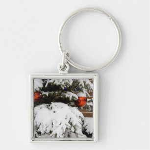 Canada, Alberta, Jasper, Jasper NP. Fairmont 2 Key Ring