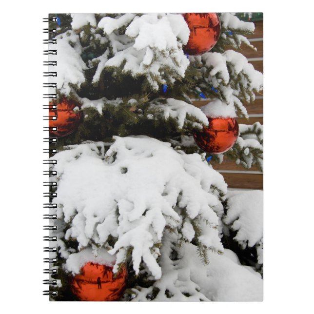 Canada, Alberta, Jasper, Jasper NP. Fairmont 2 Notebook (Front)