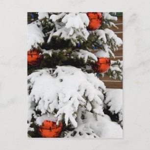 Canada, Alberta, Jasper, Jasper NP. Fairmont 2 Postcard