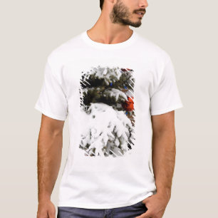 Canada, Alberta, Jasper, Jasper NP. Fairmont 2 T-Shirt