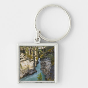 Canada, Alberta, Jasper National Park, Athabasca 2 Key Ring