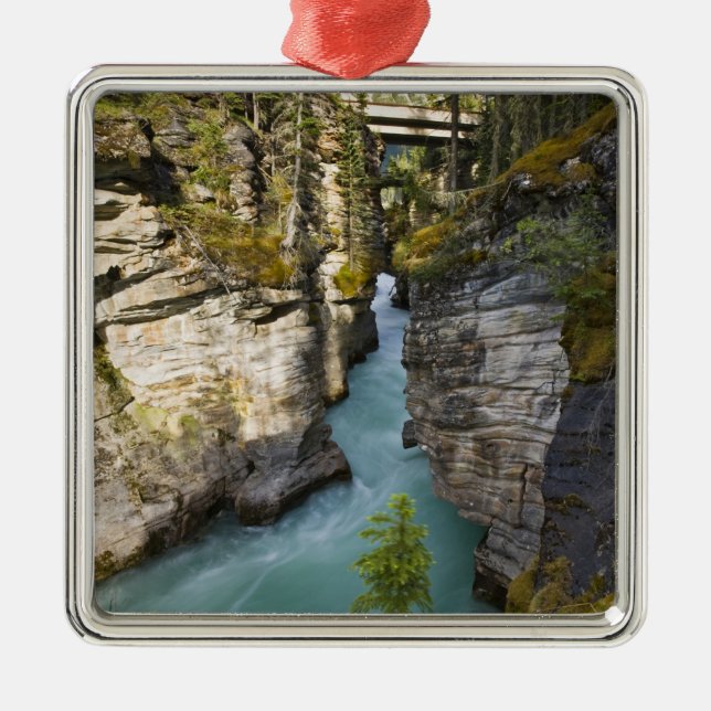 Canada, Alberta, Jasper National Park, Athabasca 2 Metal Tree Decoration (Front)