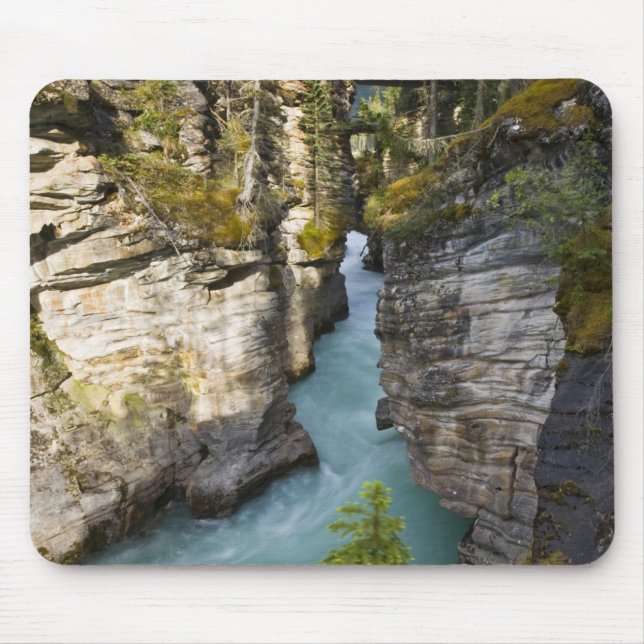 Canada, Alberta, Jasper National Park, Athabasca 2 Mouse Mat (Front)