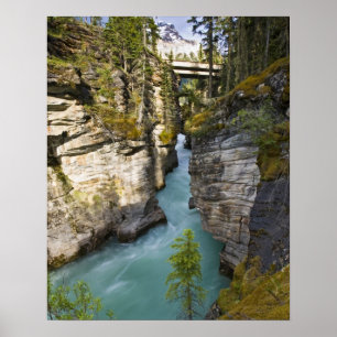 Canada, Alberta, Jasper National Park, Athabasca 2 Poster