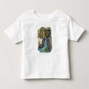 Canada, Alberta, Jasper National Park, Athabasca 2 Toddler T-Shirt