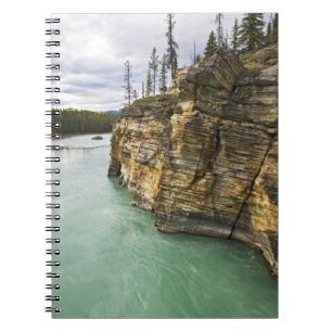 Canada, Alberta, Jasper National Park, Athabasca Notebook