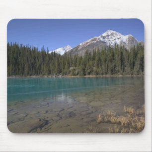 Canada, Alberta, Jasper National Park: JASPER, Mouse Mat