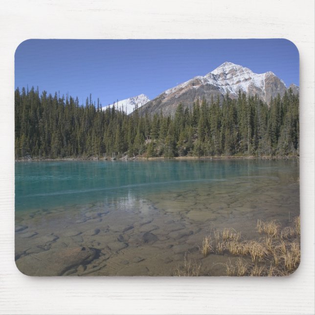 Canada, Alberta, Jasper National Park: JASPER, Mouse Mat (Front)