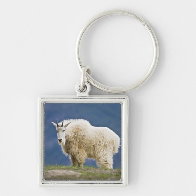 Canada, Alberta, Jasper National Park, Key Ring (Front)