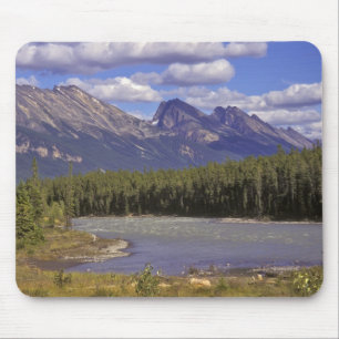 Canada, Alberta, Jasper National Park. Large Mouse Mat