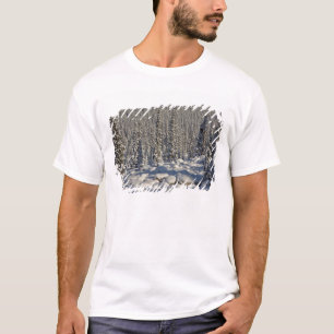 Canada, Alberta, Jasper National Park. T-Shirt