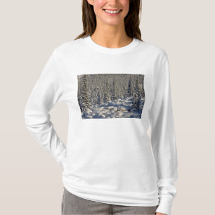 Canada, Alberta, Jasper National Park. T-Shirt