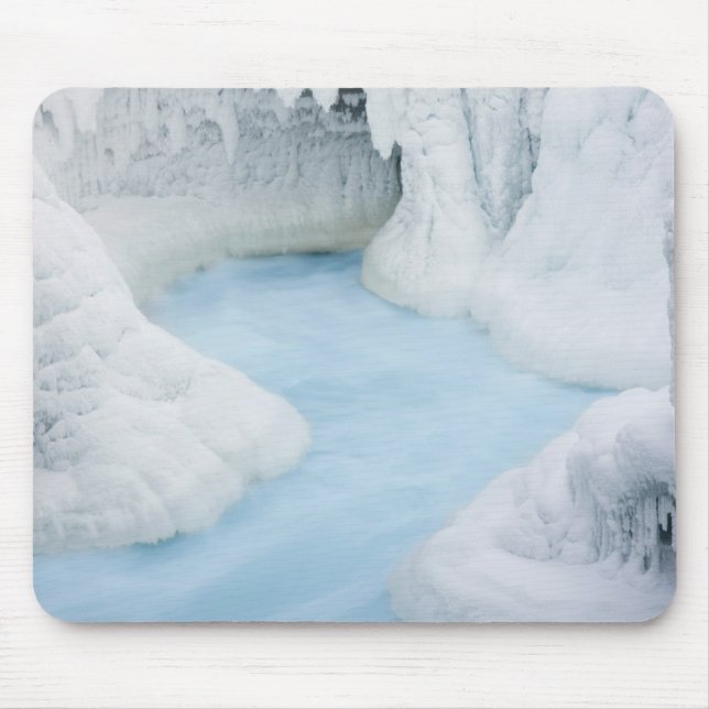 Canada, Alberta, Jasper National Park. The Mouse Mat (Front)