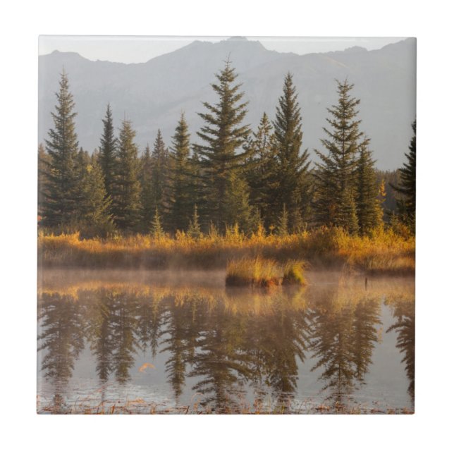 Canada, Alberta, Jasper National Park Tile (Front)