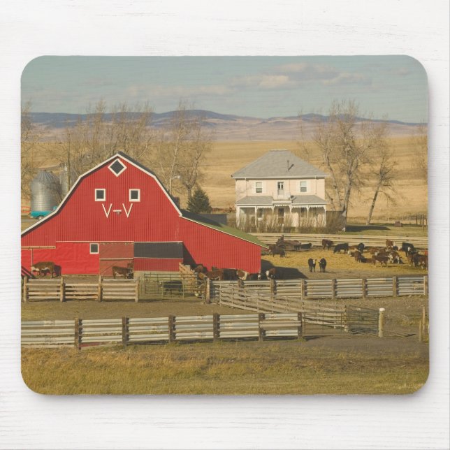 Canada, Alberta, Pincher Creek: Red Barn & Ranch Mouse Mat (Front)