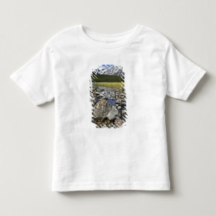 Canada, Alberta, Rocky Mountains, Banff National Toddler T-Shirt