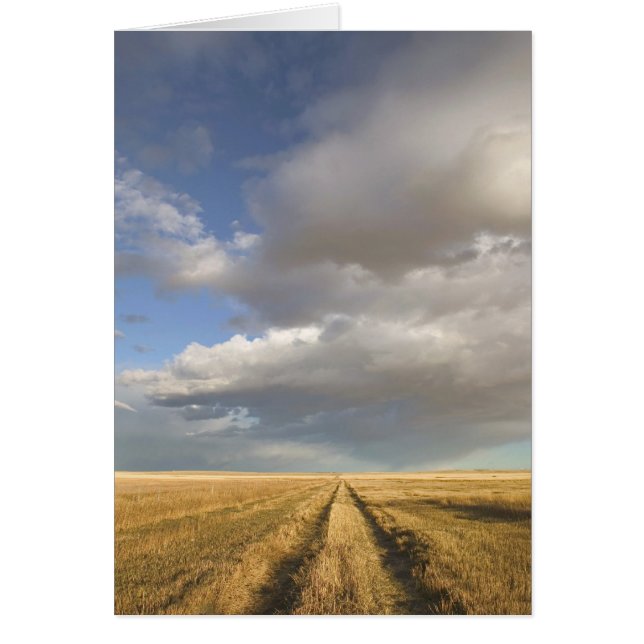 Canada, Alberta, Stand Off: Landscape with (Front)