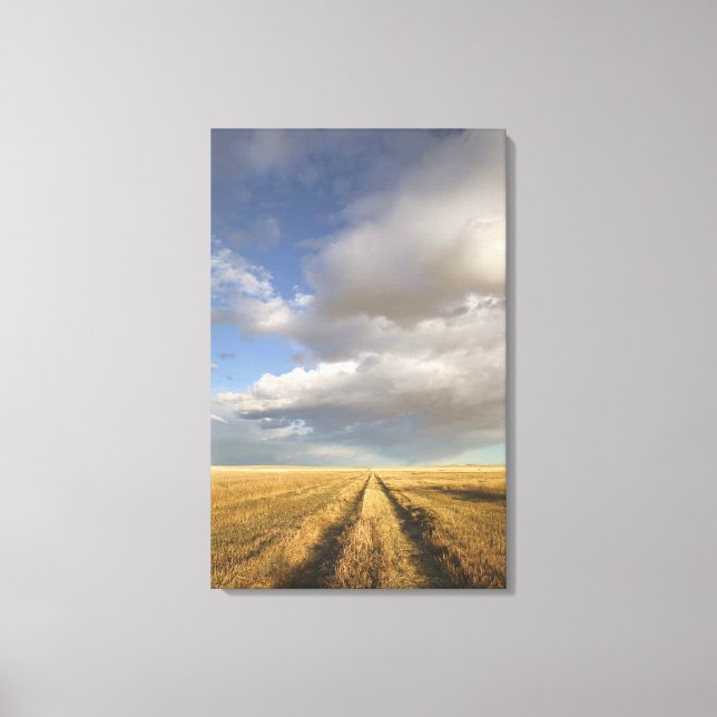 Canada, Alberta, Stand Off: Landscape with Canvas Print (Front)