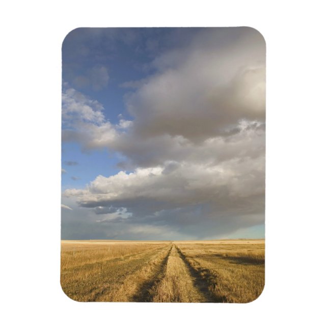 Canada, Alberta, Stand Off: Landscape with Magnet (Vertical)