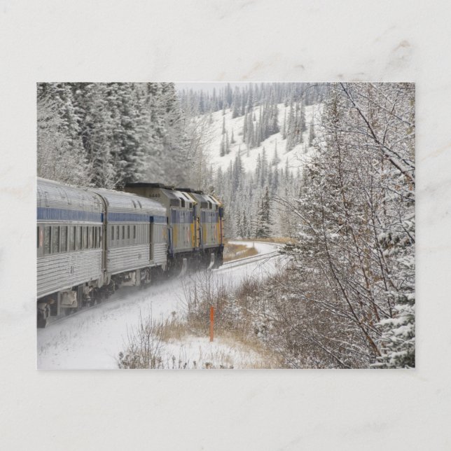 Canada, Alberta. VIA Rail Snow Train between Postcard (Front)