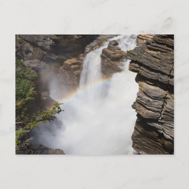 Canada - Athabasca Falls postcard (Front)