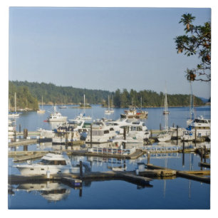Canada, BC, Gulf Islands, Salt Spring Island, Tile