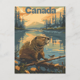 Canada Beaver Postcard