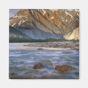 Canada, British Columbia, Alsek River Valley. Magnet